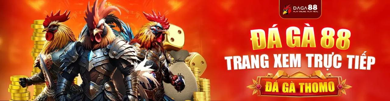 Đấu trường đá gà kịch tính tại w188 chính thức